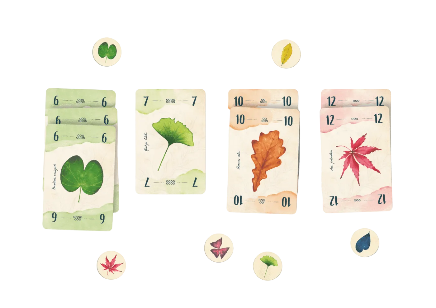 13 feuilles