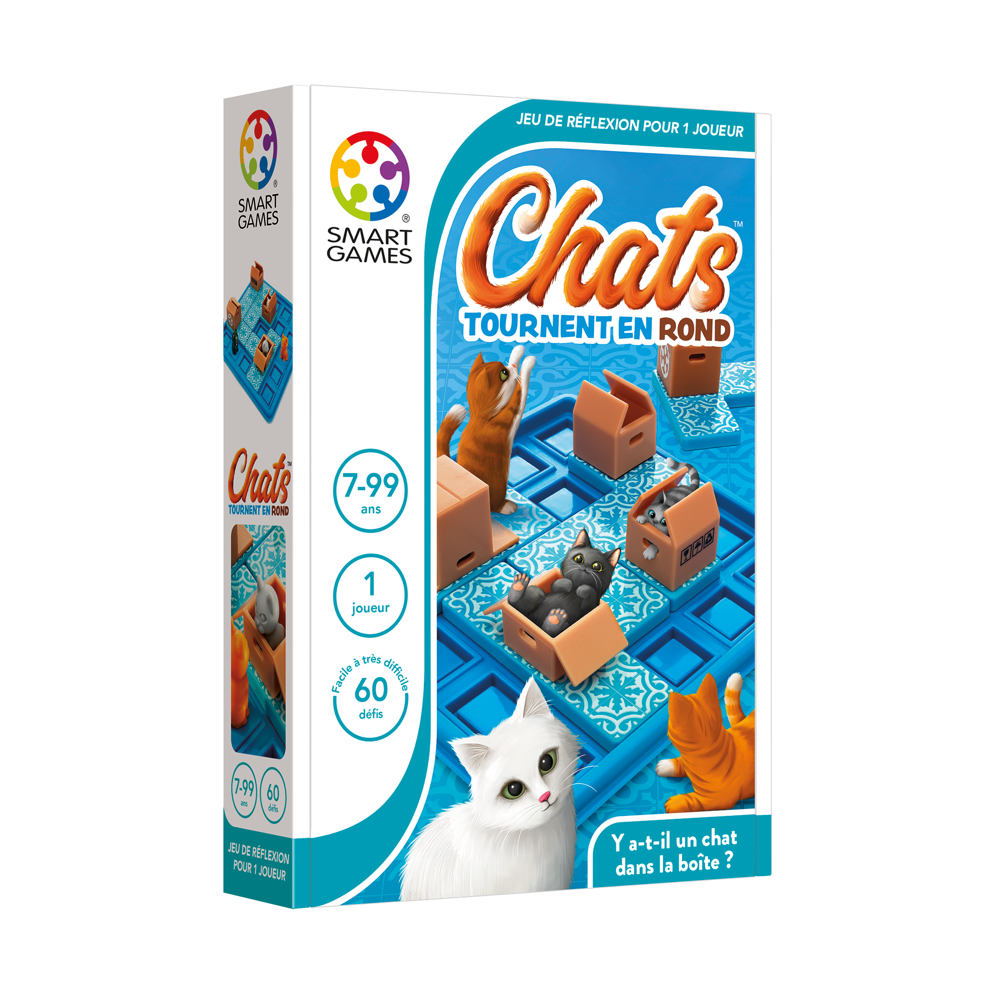 Chats Tournent En Rond