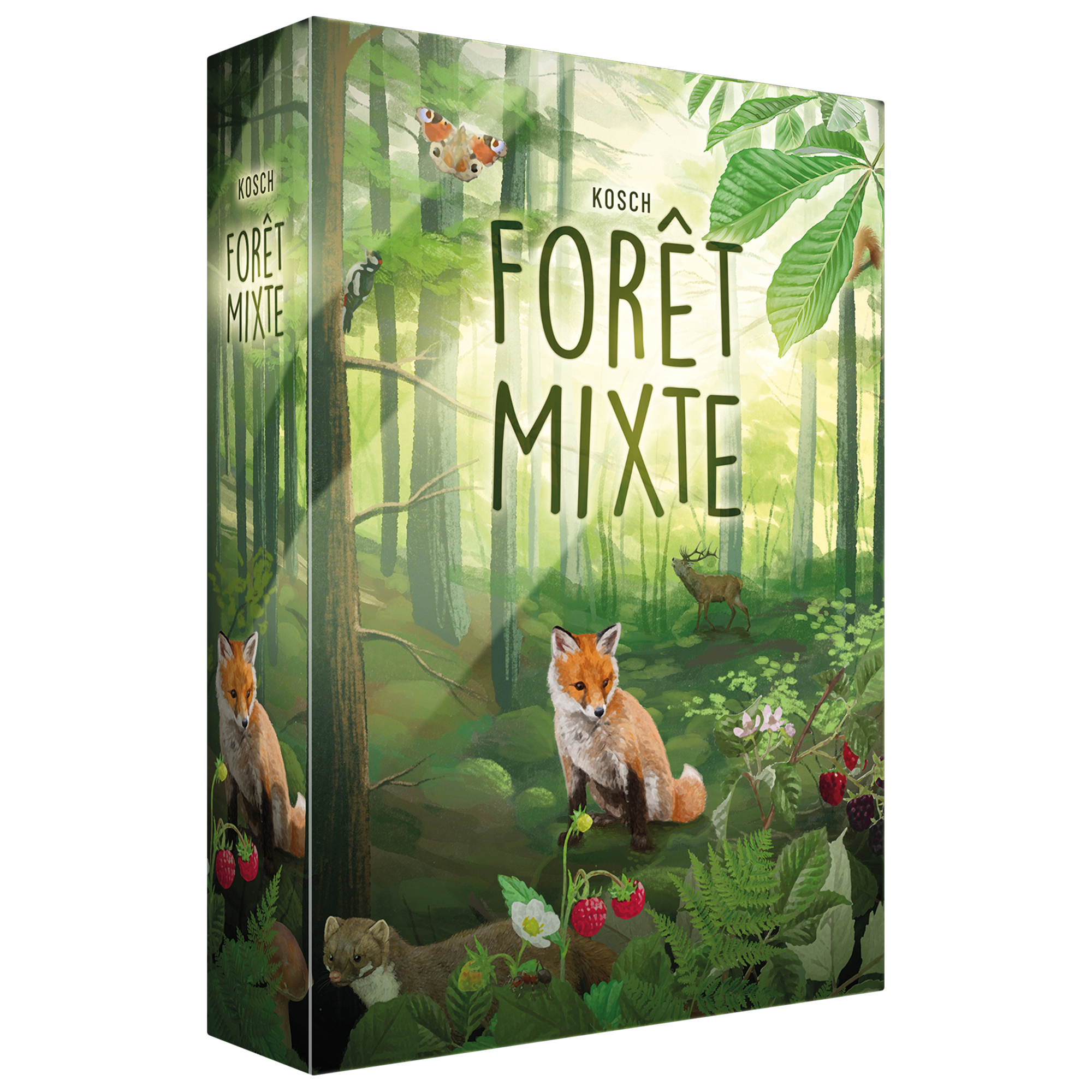 Forêt Mixte